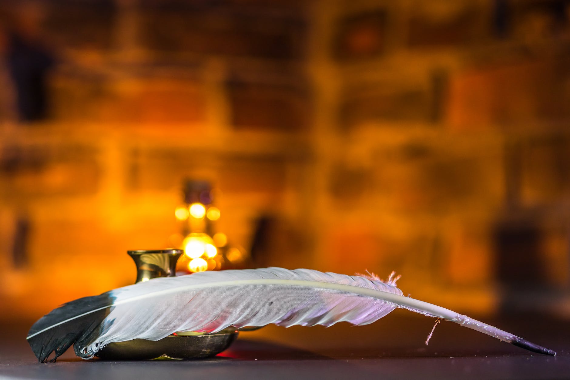 close up shot of a white quill